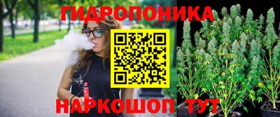 круглые Камышлов