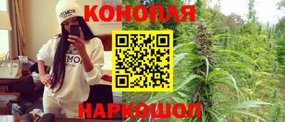 Альфа ПВП Канаш