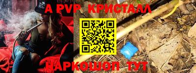 прущие грибы Кандалакша