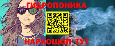 Альфа ПВП Канаш
