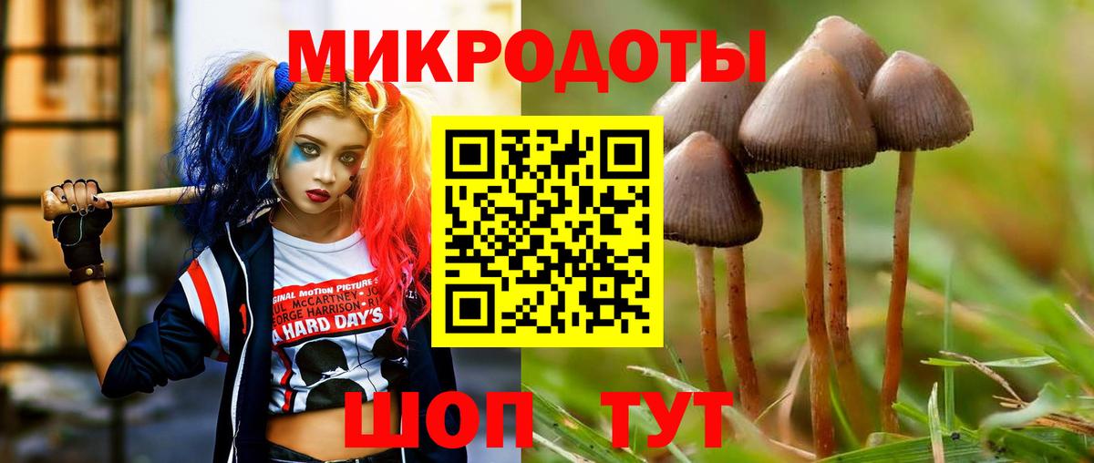 Геленджик  Галлюциногенные грибы GOLDEN TEACHER  сколько стоит  Вход с VPN 